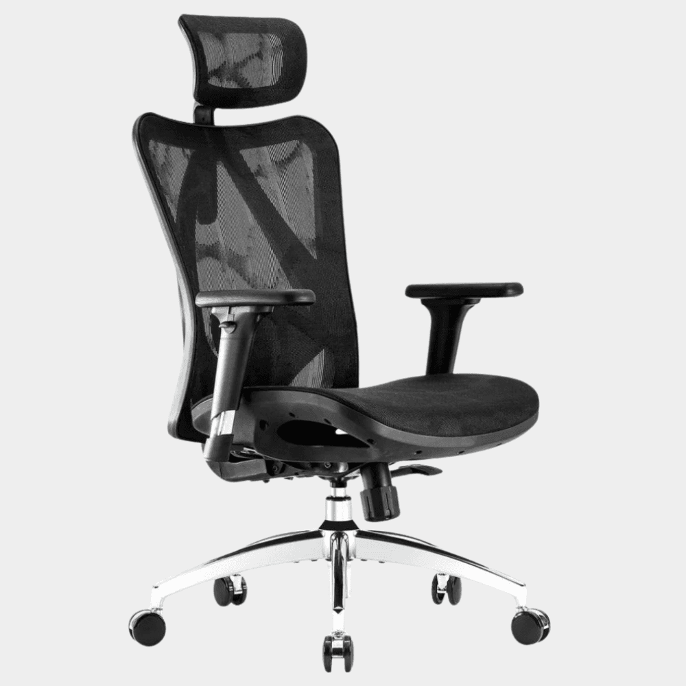 Sihoo Model M57 Ergonomic Chair